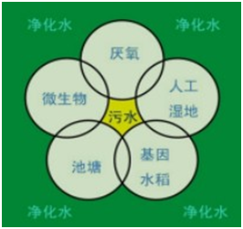 污水處理設備__全康環(huán)保QKEP