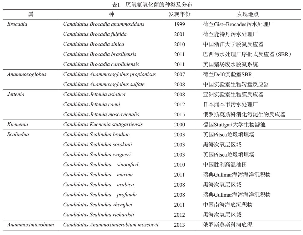 污水處理設備__全康環(huán)保QKEP