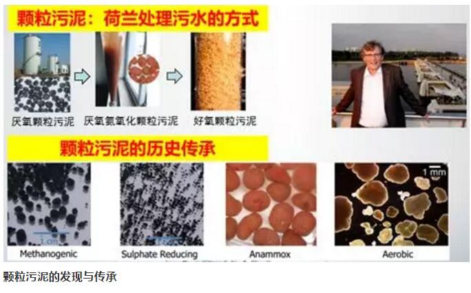 污水處理設備__全康環(huán)保QKEP