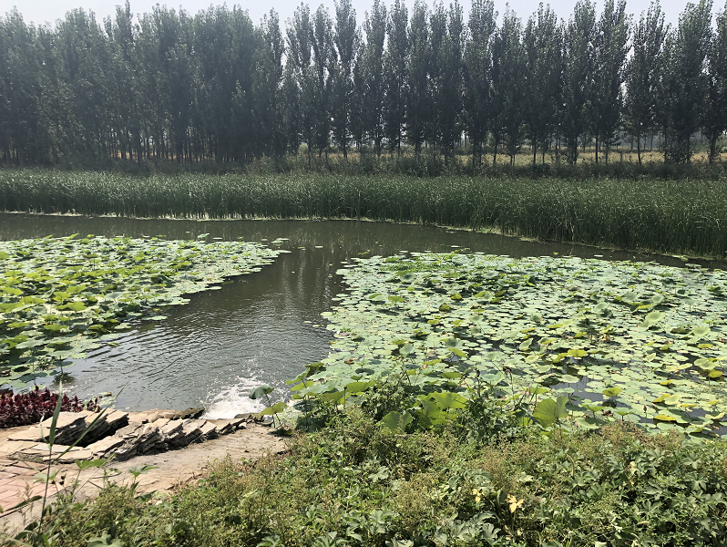 污水處理設備__全康環(huán)保QKEP
