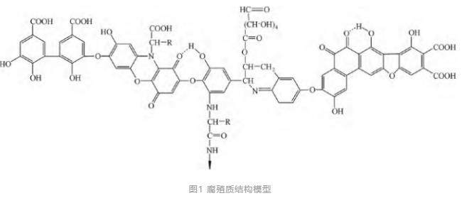 污水處理設備__全康環(huán)保QKEP