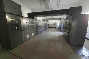 廣西柳州將建大型餐廚垃圾處理項目