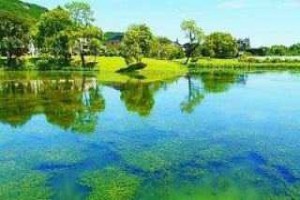 固原市人民政府辦公室關(guān)于印發(fā)《清水河市區段綜合整治工作實(shí)施方案》的通知