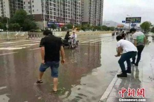 臺風(fēng)中的“城市良心”雨水回收利用系統