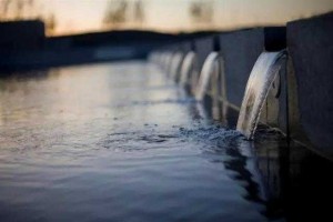 “喝水高手”在，內澇不再來(lái)，雨水回收利用