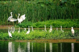 國務(wù)院加快海綿城市建設進(jìn)程，雨水利用