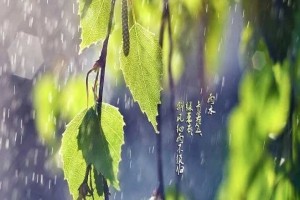 雨神完美蛻變計，鋪裝材料，工業(yè)園設計