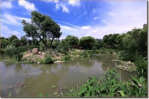再生水已駛入發(fā)展快車(chē)道 成水務(wù)市場(chǎng)新興增長(cháng)點(diǎn)
