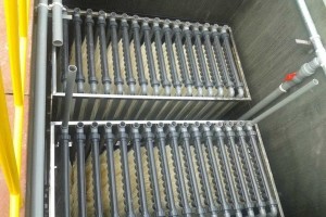 百年活性污泥或迎來(lái)變革 未來(lái)百年將何去何從？