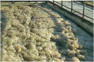 黑臭水體治理完善城市“面子” 市場(chǎng)需求約5000億