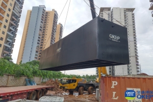 分散式污水處理設備畜禽養殖廢水植物凈化技術(shù)