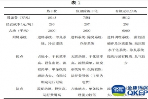 污泥分散式污水處理設備處理技術(shù)