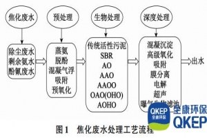焦化廢水處理技術(shù)-分散式污水處理設(shè)備