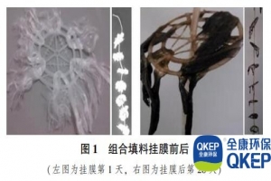 組合填料原位修復(fù)集約化養(yǎng)殖池廢水-分散式污水處理設(shè)備