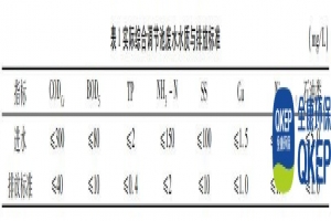 危廢企業(yè)廢水處理工藝調(diào)試及運行-分散式污水處理設(shè)備