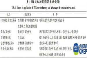 分散式污水處理設(shè)備-生物流化床廢水處理技術(shù)的應(yīng)用