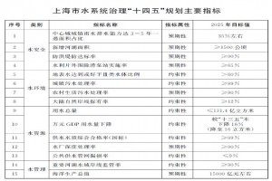上海市水系統治理“十四五”規劃