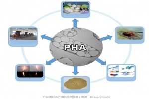 腦洞大！荷蘭污水廠(chǎng)可生產(chǎn)防火人造皮革？