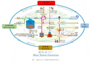 創(chuàng  )新理念 | 藍色水工廠(chǎng)：框架與技術(shù)