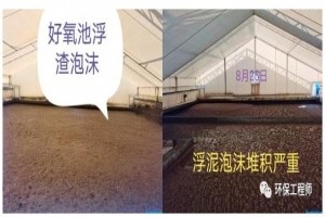 我用雙氧水 搞定了絲狀菌高度膨脹！