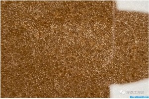 反硝化池脫氮效率差 是什么原因？