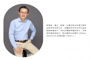 污泥焚燒灰分磷回收Ash Dec工藝及其研究進(jìn)展