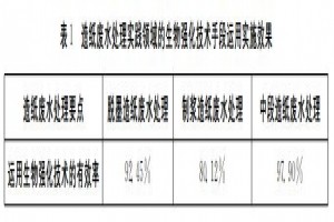 造紙廢水處理生物強化技術(shù)