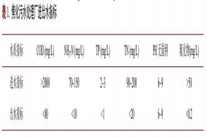 焦化廢水深度處理中凈水劑的應用