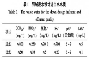 羽絨廢水處理升級改造氣浮+MBR技術(shù)