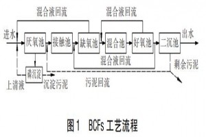 污水反硝化脫氮除磷技術(shù)