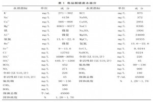 電站脫硫廢水零排放預處理技術(shù)