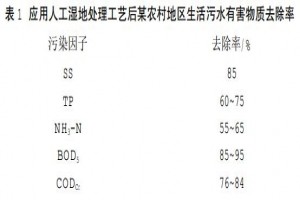 分散式農村生活污水處理技術(shù)