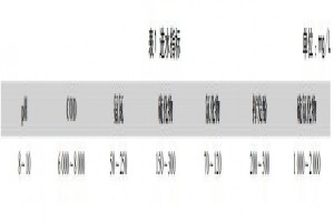 高硫氰化物廢水處理技術(shù)