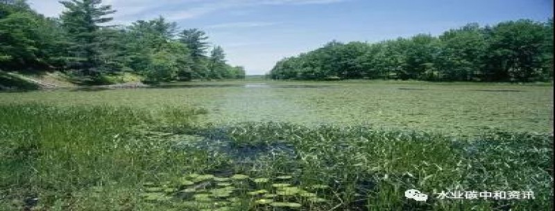 應用動(dòng)態(tài) | 污水處理可實(shí)現“養分中和”