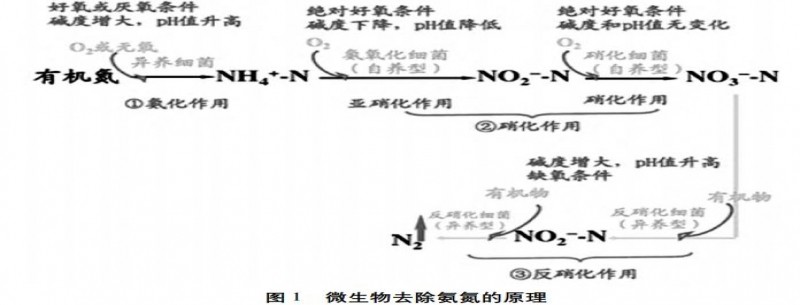 石化污水深度處理氧化塘技術(shù)