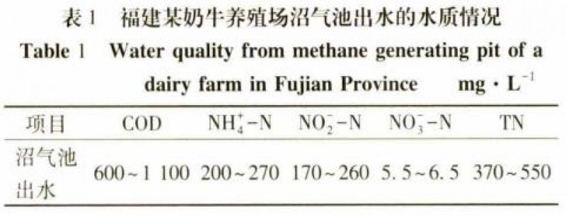 奶牛場(chǎng)廢水處理短程硝化-厭氧氨氧化耦合工藝