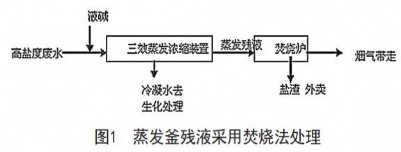 化工高鹽廢水治理技術(shù)