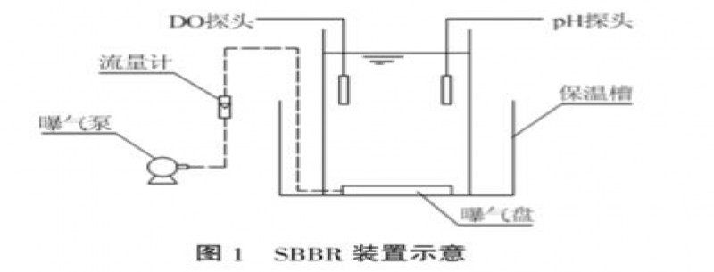 載體對短程硝化生物膜特性的影響